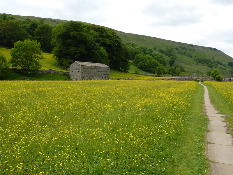 Muker Meadows